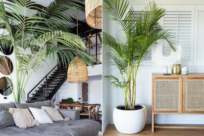 How to Decorate Living Room with Houseplants A Green Oasis in Your Home